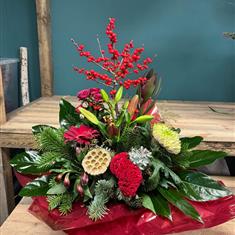 Festive Front Facing 