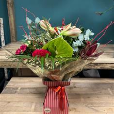 Festive Handtied in water 