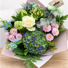 Hydrangea Dreams