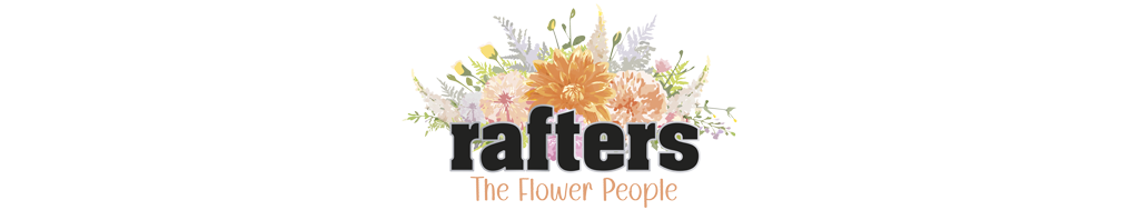 Rafters